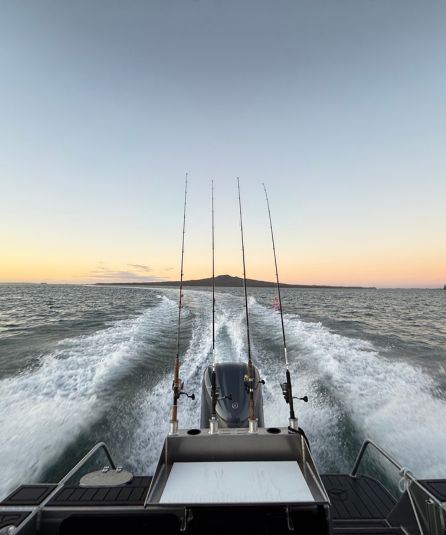 Rods in the sunset while boat driving